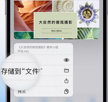 禹王台apple维修中心分享iPhone文件应用中存储和找到下载文件