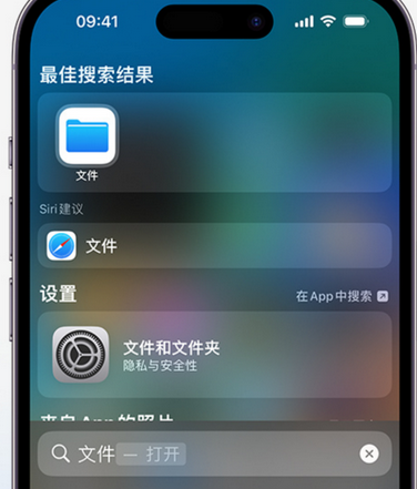 禹王台apple维修中心分享iPhone文件应用中存储和找到下载文件 