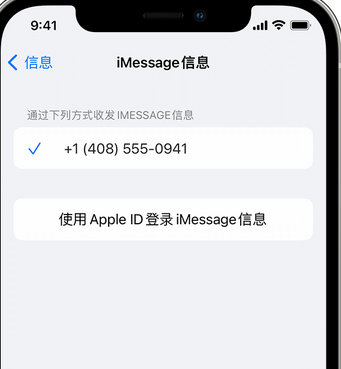 禹王台apple维修iPhone上无法正常发送iMessage信息 