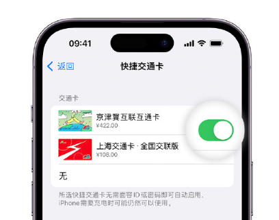 禹王台apple维修点分享iPhone上更换Apple Pay快捷交通卡手绘卡面 