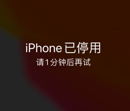 禹王台苹果手机维修分享:iPhone 显示“不可用”或“已停用”怎么办？还能保留数据吗？ 