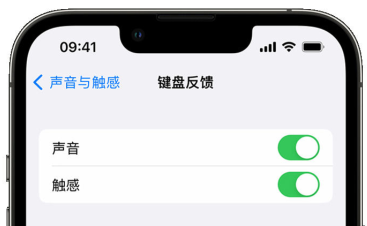 禹王台苹果手机维修分享iPhone 14触感键盘使用方法 