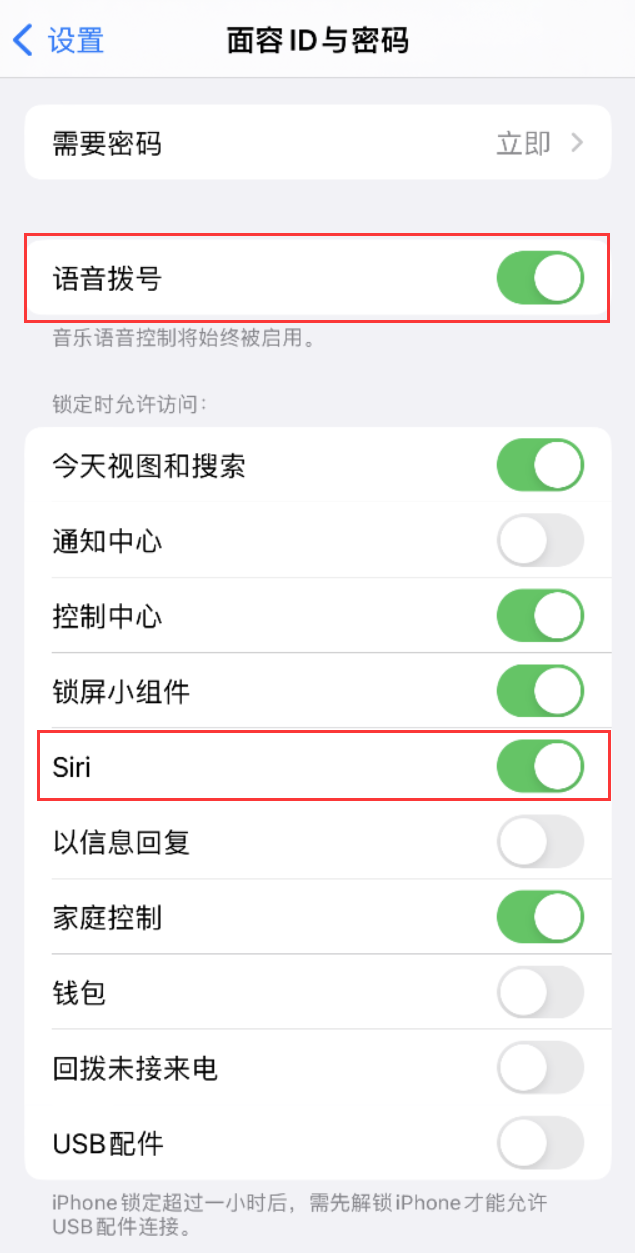 禹王台苹果维修网点分享不解锁 iPhone 的情况下通过 Siri 拨打电话的方法 