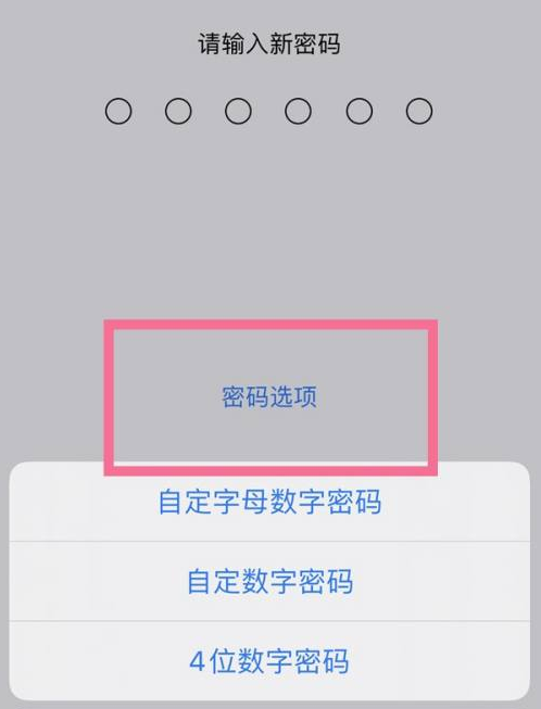 禹王台苹果14维修分享iPhone 14plus设置密码的方法 