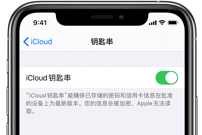 禹王台苹果手机维修分享在 iPhone 上开启 iCloud 钥匙串之后会储存哪些信息 