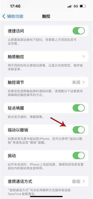 禹王台苹果手机维修分享iPhone手机如何设置摇一摇删除文字 