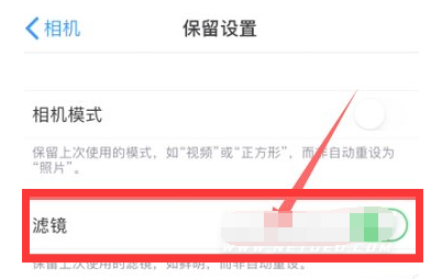 禹王台苹果13维修分享iPhone13拍照有绿点是怎么回事 