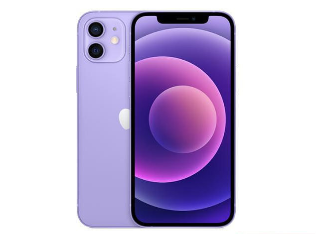 禹王台苹果手机维修分享现阶段要不要入手紫色版iPhone12 